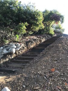 new stairs at Sycamore